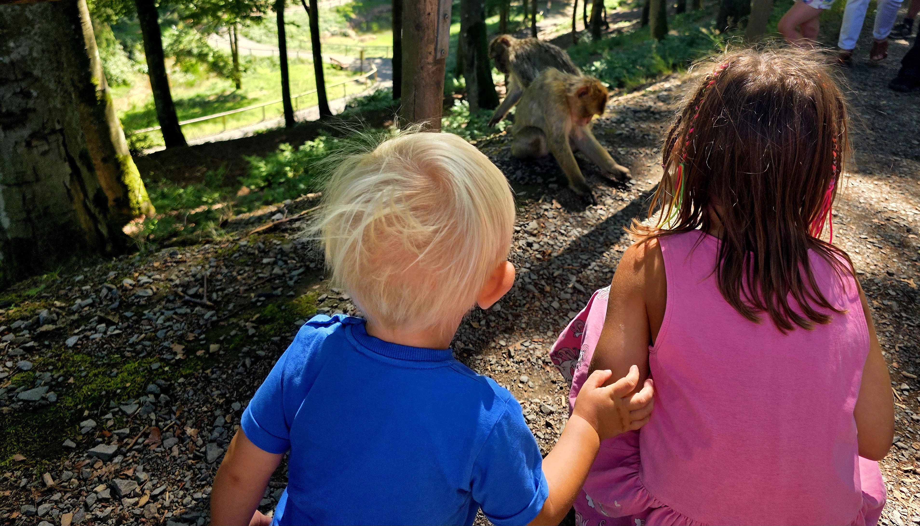 Zwischen Spielen und Weinen – Wie Kinder ihren Alltag nach einem Verlust erleben